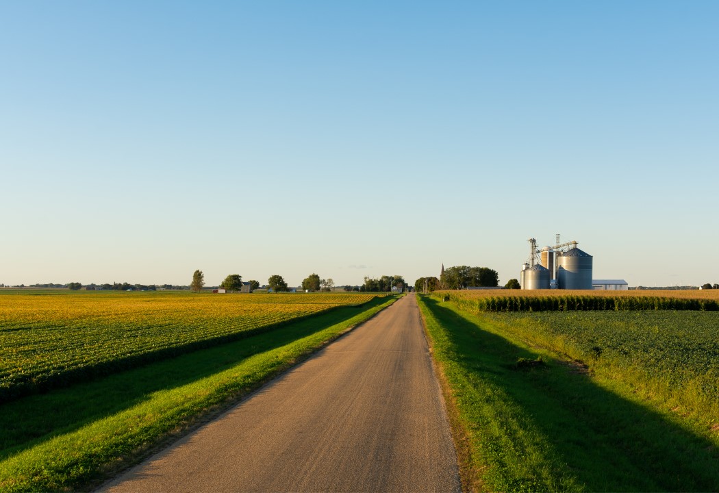 road flanked by cornfields, silver siloes in distance