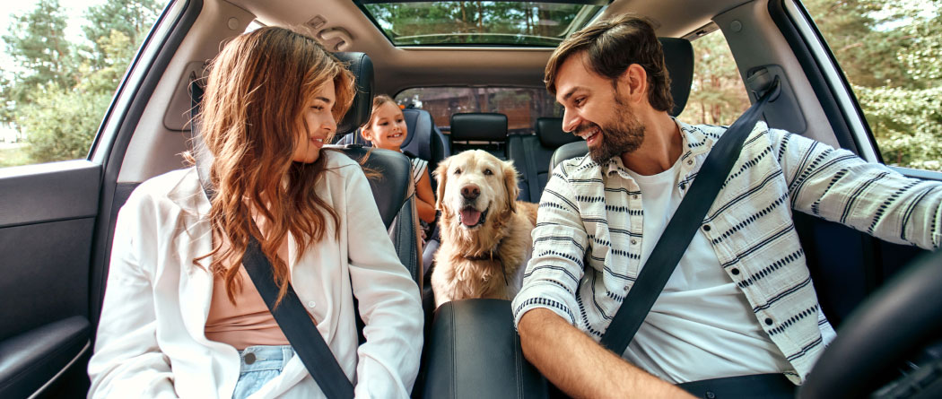 young family and dog all sitting in a car